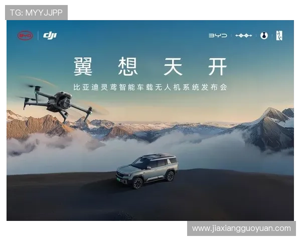 凯发一触即发：开启全新娱乐体验的最佳选择