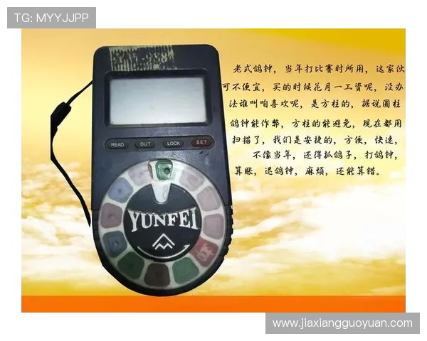 提升AG押注成功率:实用技巧和常见错误避免方法 提升AG押注成功率:实用技巧和常见错误避免方法