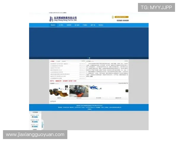 用户热评ag电投网站,真实反馈展现平台的服务与信誉