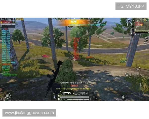 凯发极速炸金花多样化的游戏模式满足不同玩家的需求