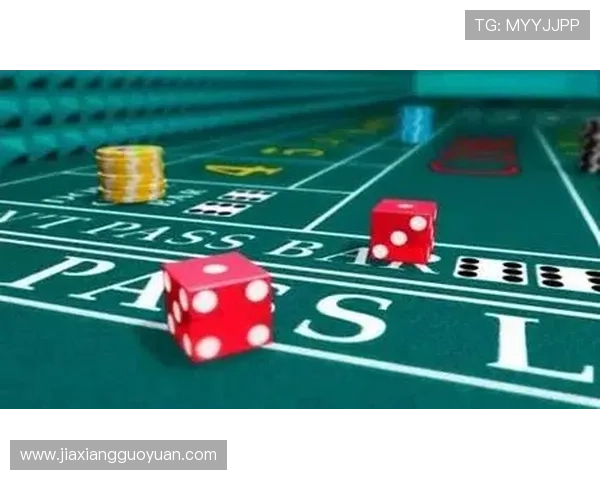 专业真人百家乐网站攻略,帮助玩家提升技巧实现稳定盈利的实用指南 专业真人百家乐网站攻略,帮助玩家提升技巧实现稳定盈利的实用指南