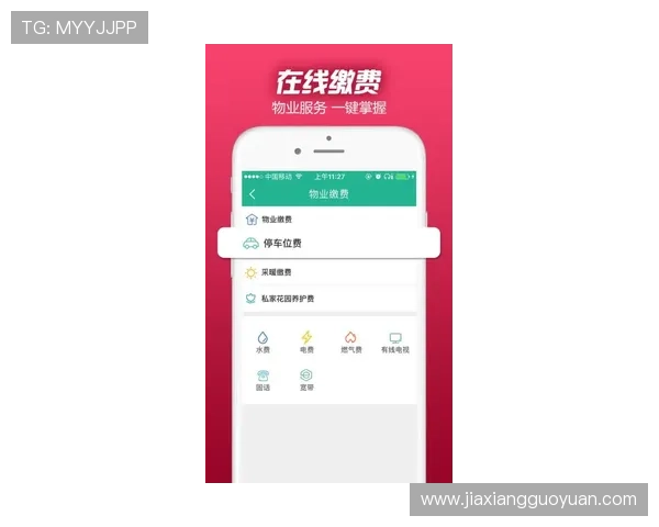 全面介绍百家家乐app使用方法,助你轻松上手游戏规则与优化投注策略的详细教程